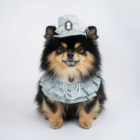 Alexandrina | Victorian Collection Pet Bib