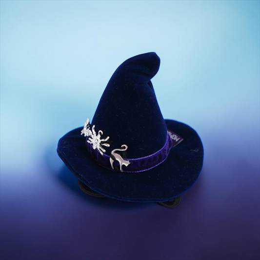 The Oracle's Veil | Pet Hat