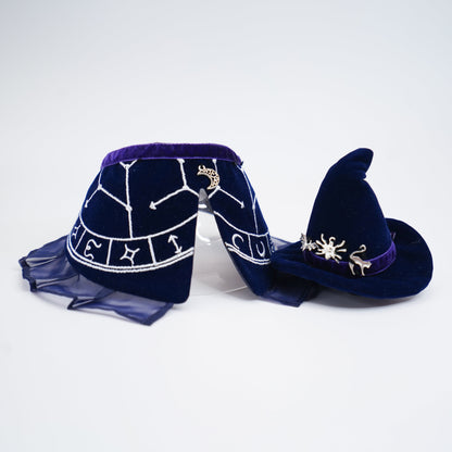 The Oracle's Veil | Pet Hat