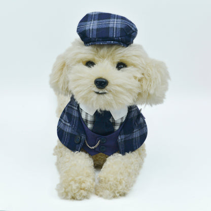 Charles | Pet Hat