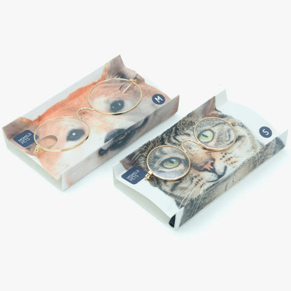 Leonardo Round (Transparent) | Pet Eyewear