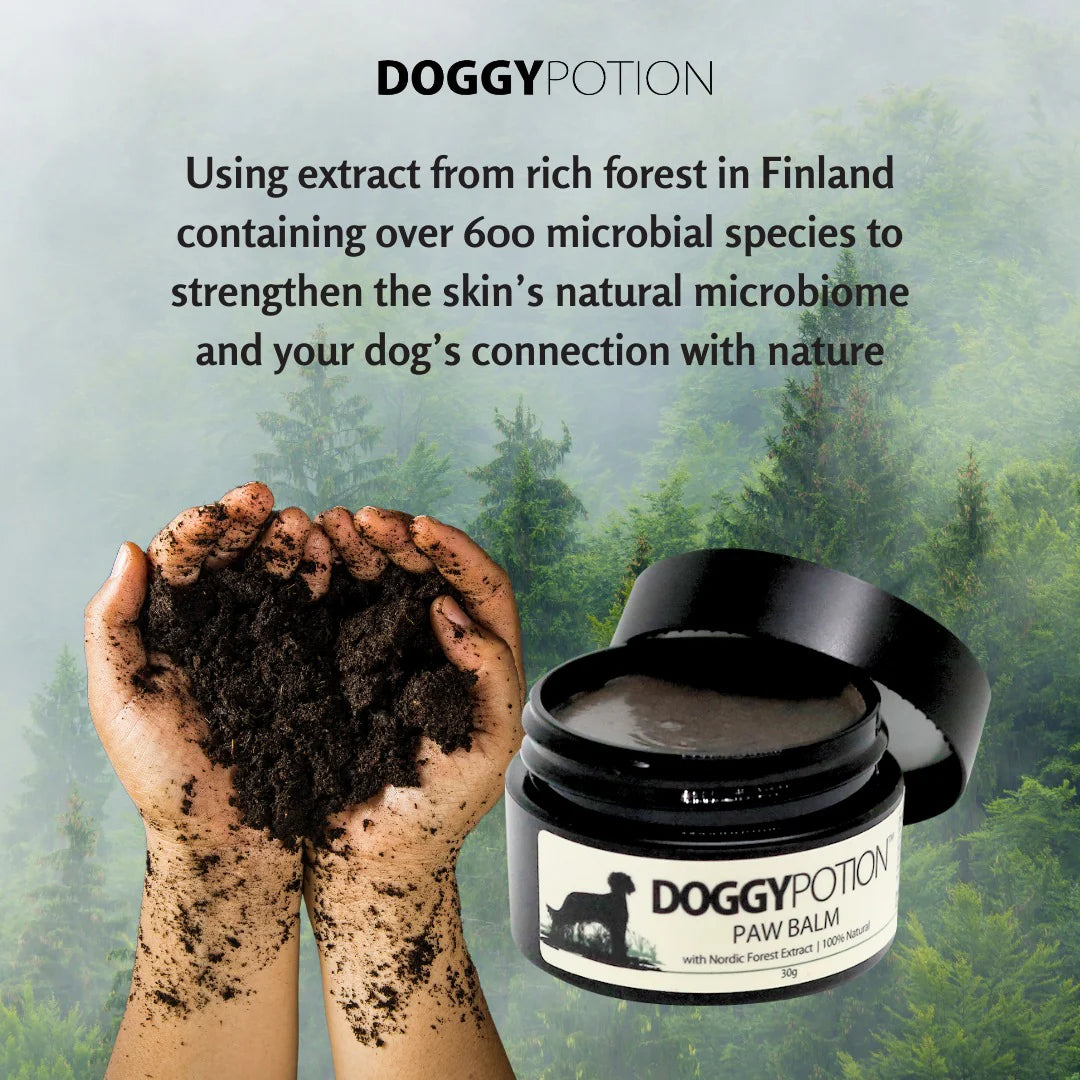 Paw Balm with Nordic Forest Extract 30g