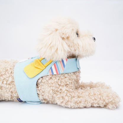 Momoji Bear | Pet Vest