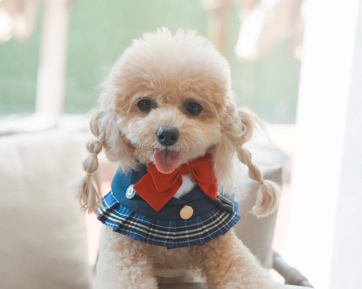 Morrison Hill  · Girls Pet Bib