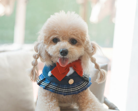 Morrison Hill  · Girls Pet Bib