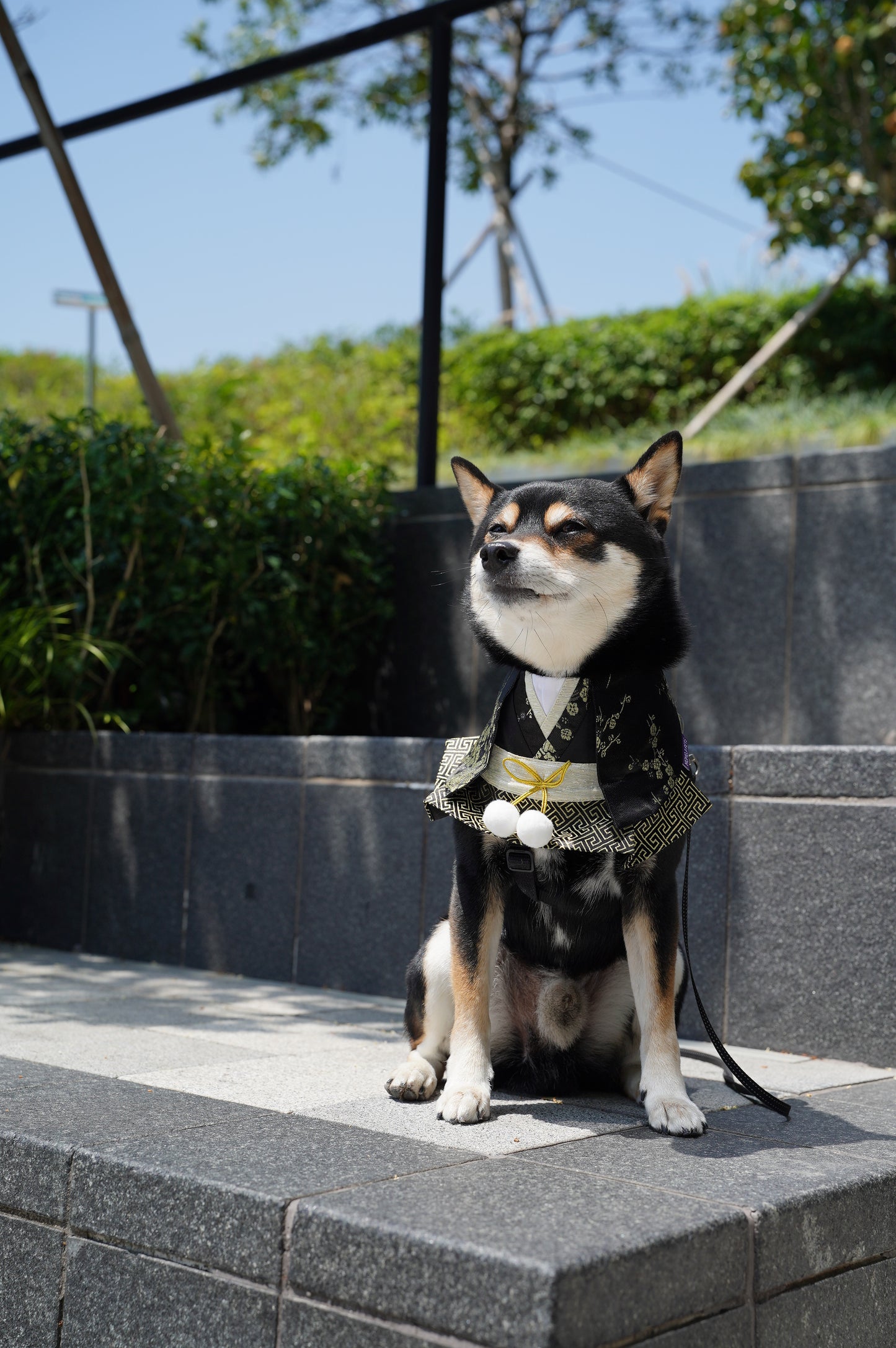 Meguro Kimono-Style Decorative Pet Bib Collar – Traditional Outfit for Cats & Dogs
