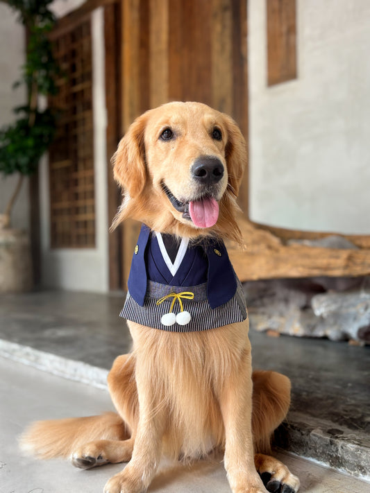 Nippori Pet Bib – Japanese Kimono-Inspired Dog & Cat Collar