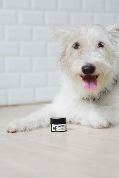 Pet Healing Balm with Manuka Honey 20g