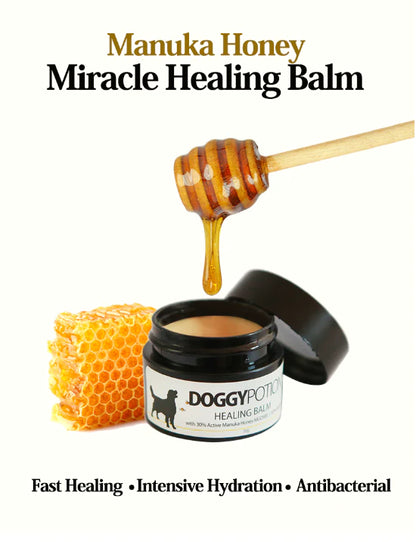 Pet Healing Balm with Manuka Honey 20g