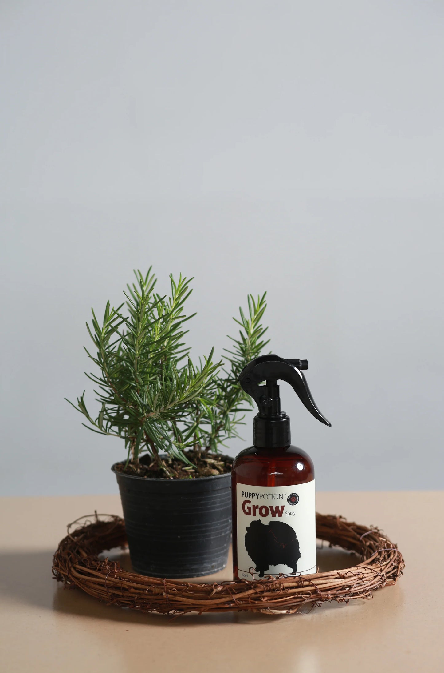 GROW Thickening Tonic with Ginseng & Lingzhi Extract 250ml