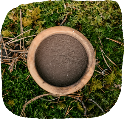 Paw Balm with Nordic Forest Extract 30g