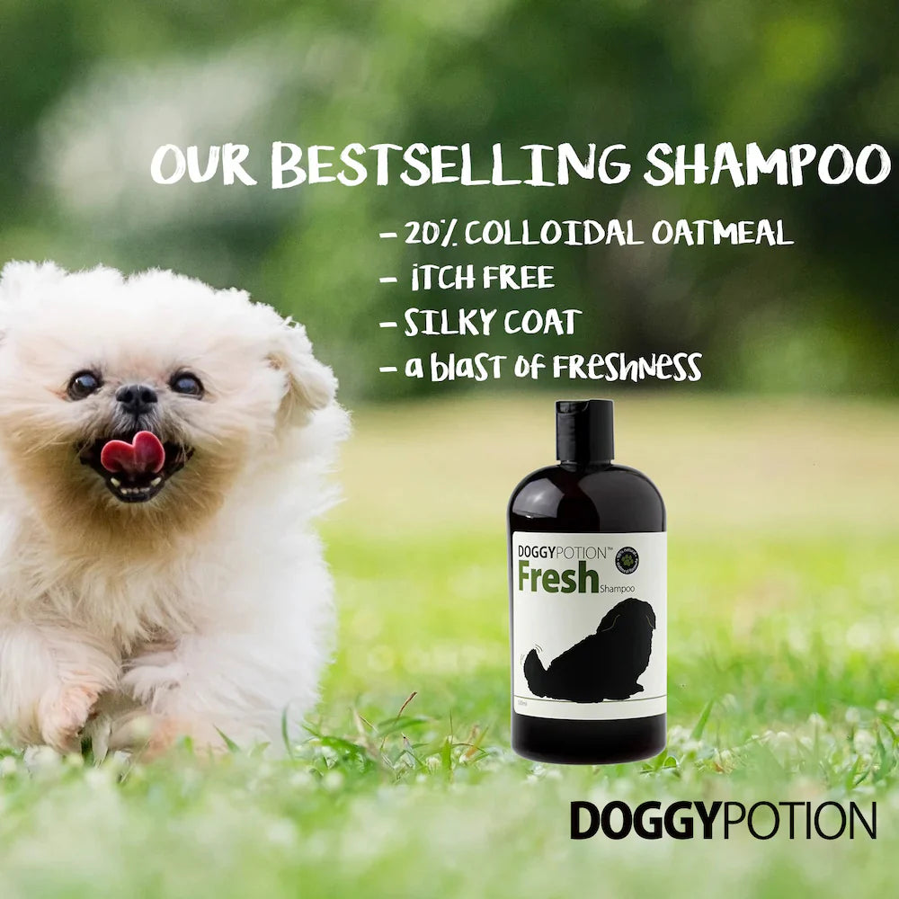 FRESH Shampoo with Oatmeal 500ml