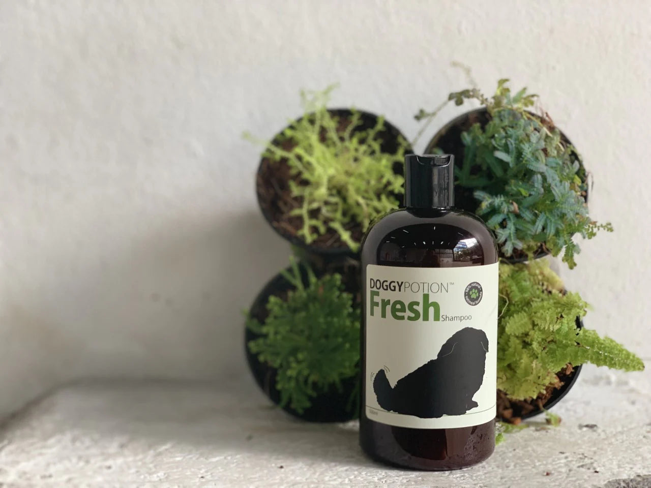 FRESH Shampoo with Oatmeal 500ml