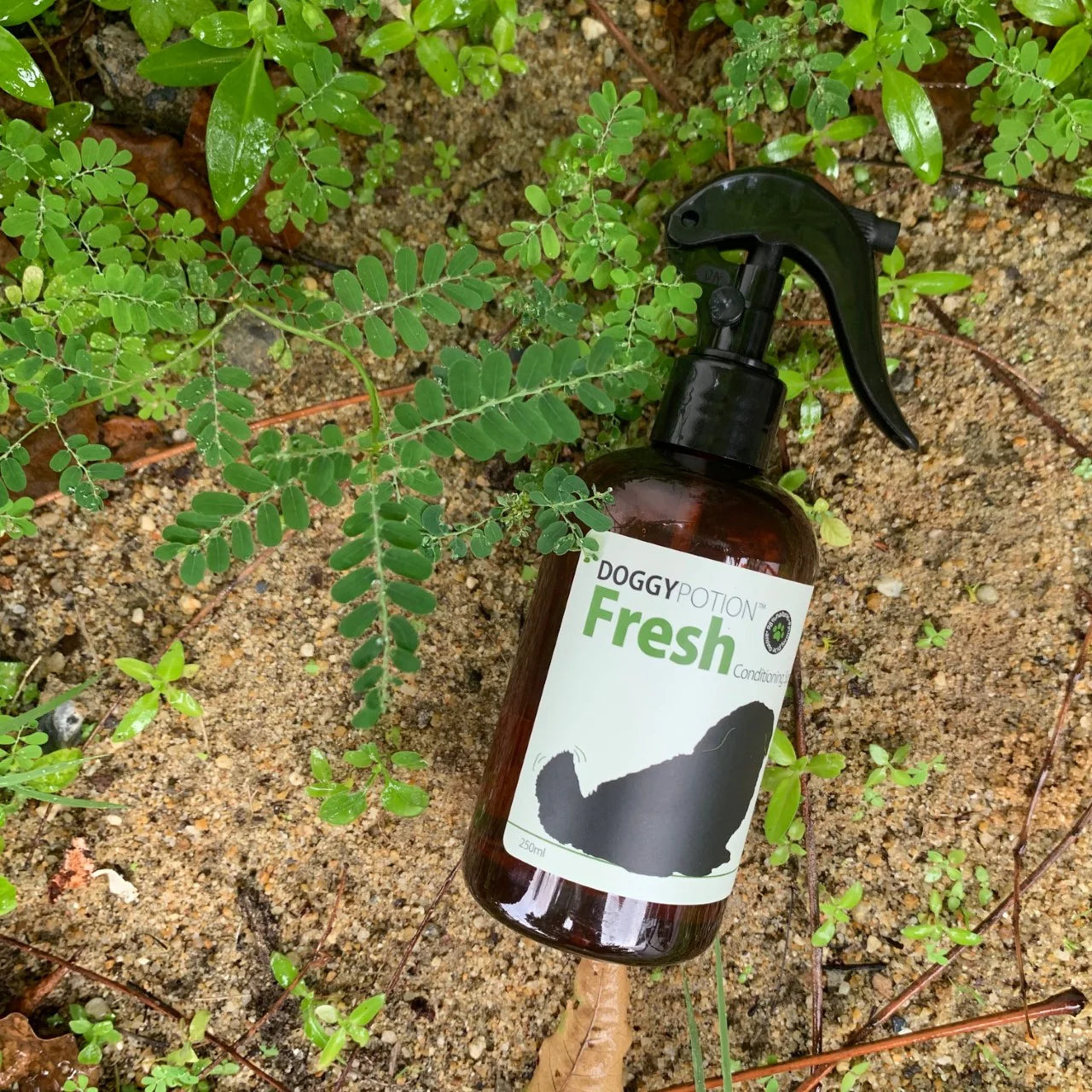 FRESH Conditioning Spray with Oatmeal 250ml