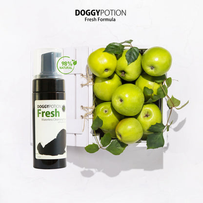 FRESH Waterless Cleansing Foam with Amino Acids 150ml