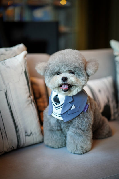 ***Pre-Order*** Joseph | Pet Bib