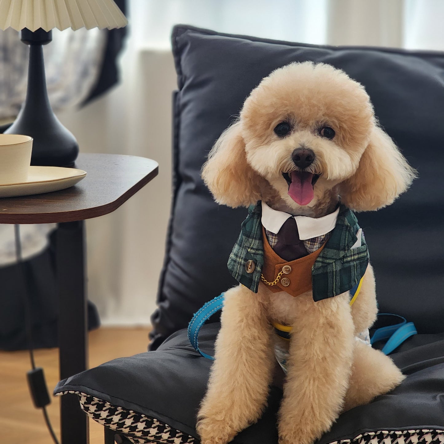 Phillip Formal Pet Bandana – Dapper Outfit for Dogs & Cats
