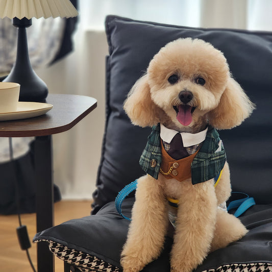 Phillip Formal Pet Bandana – Dapper Outfit for Dogs & Cats