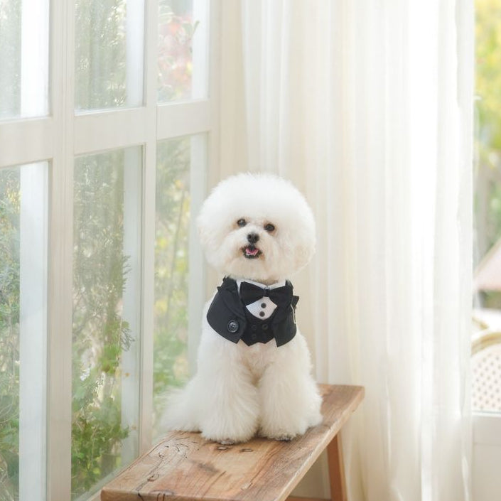 Kingsway Tuxedo Decorative Pet Bandana – Formal Outfit for Cats & Dogs