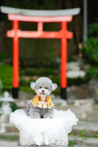 Meguro Kimono-Style Decorative Pet Bib Collar – Traditional Outfit for Cats & Dogs